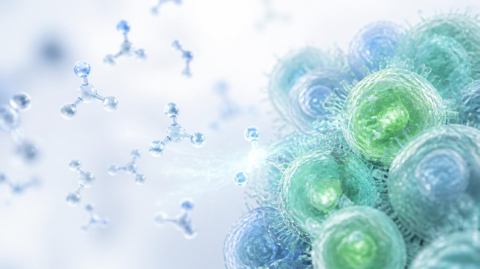 Immune support