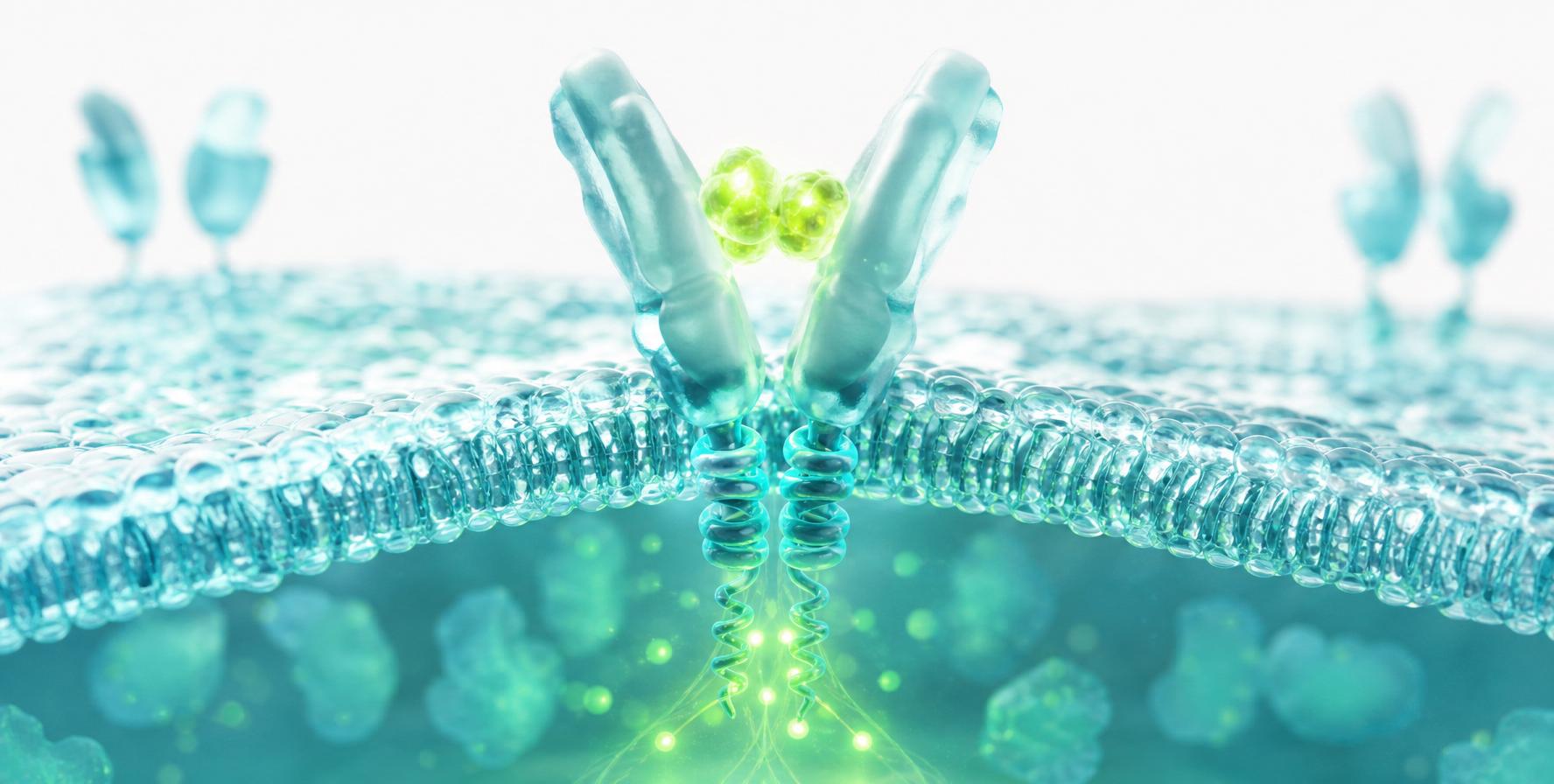 Insulin sensitivity restoration