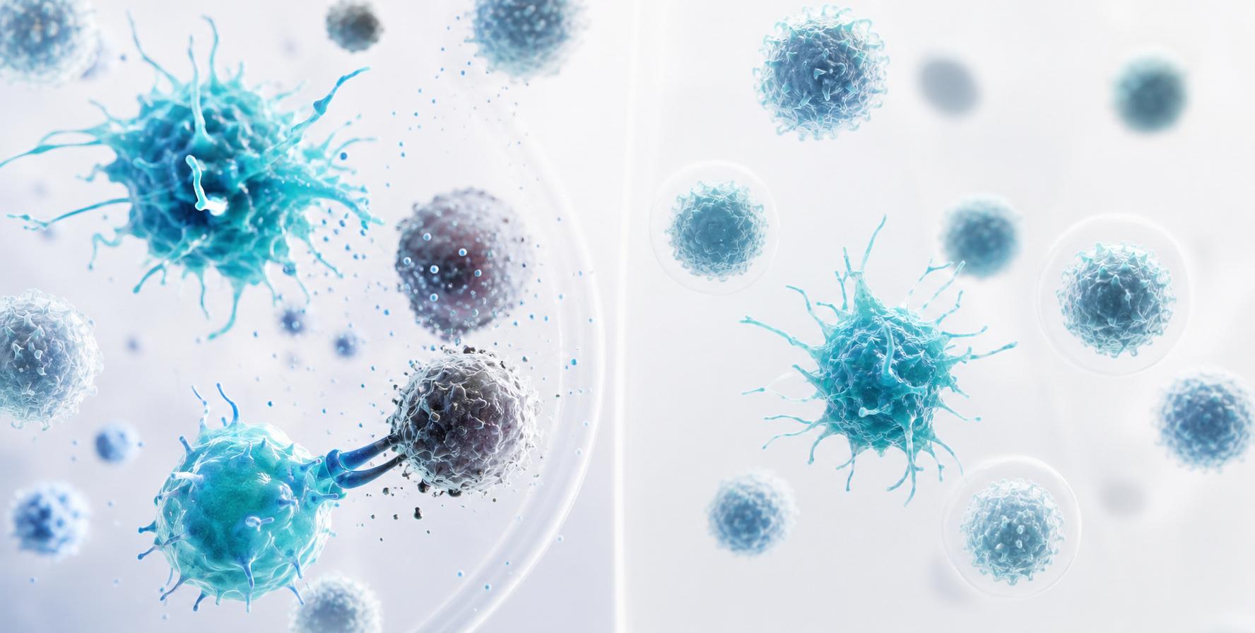 Immune regulation